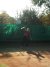 BAS Tennis