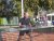 BAS Tennis