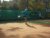 BAS Tennis