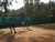 BAS Tennis