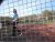 BAS Tennis