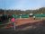 BAS Tennis