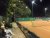 BAS Tennis
