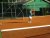 BAS Tennis