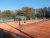 BAS Tennis