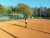 BAS Tennis