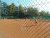 BAS Tennis