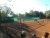 BAS Tennis
