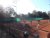 BAS Tennis