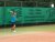 BAS Tennis