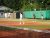 BAS Tennis