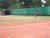 BAS Tennis