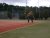 BAS Tennis