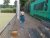 BAS Tennis