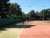 BAS Tennis