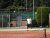 BAS Tennis