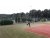 BAS Tennis