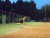 BAS Tennis