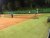 BAS Tennis
