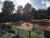 BAS Tennis