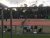 BAS Tennis