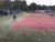 BAS Tennis