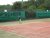 BAS Tennis