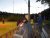 BAS Tennis