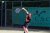 Wilco Steeneveld
