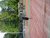 BAS Tennis