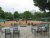 BAS Tennis