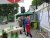 BAS Tennis
