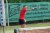 BAS Tennis