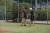 BAS Tennis