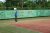 BAS Tennis