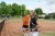 BAS Tennis