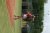 BAS Tennis