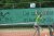 BAS Tennis