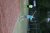 BAS Tennis