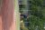BAS Tennis