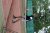 BAS Tennis