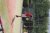 BAS Tennis