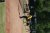 BAS Tennis