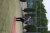 BAS Tennis