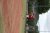 BAS Tennis