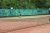 BAS Tennis