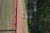 BAS Tennis