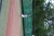 BAS Tennis