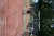 BAS Tennis