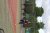 BAS Tennis